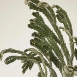 Abib Korean Skincare|Augenpflege·Augenpflege|