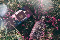 Acqua Colonia Düfte|