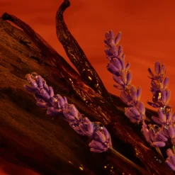 Armani Düfte·Parfum|