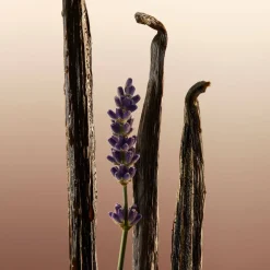 Burberry Duschpflege·Shower Gel|