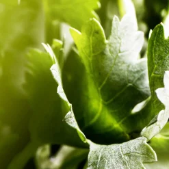 Bvlgari Düfte·Eau De Parfum Spray|