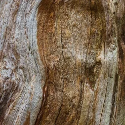 Bvlgari Düfte·Eau De Parfum Spray|