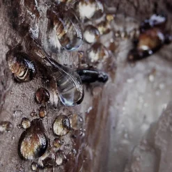 Bvlgari Düfte·Eau De Parfum Spray|