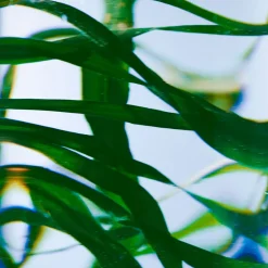 BYREDO Handpflege·Handpflege|