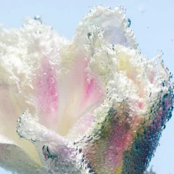 BYREDO Handpflege·Handreinigung|