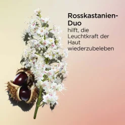 CLARINS Gesichtpflege·Nachtpflege|