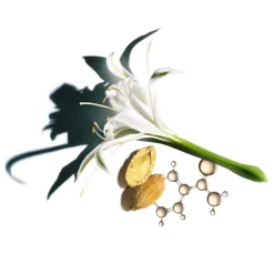 CLARINS Anti Aging·Anti-Aging|