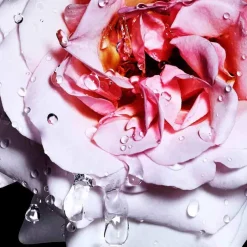 Davidoff Düfte·Eau De Toilette Spray|