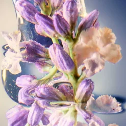 Davidoff Deodorants·Deo Spray|