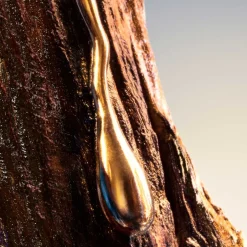 Davidoff Duschpflege·Shower Gel|