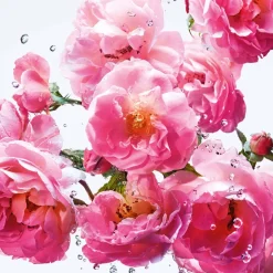 DIOR Düfte·Eau De Toilette Spray|