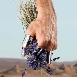 DOLCE&GABBANA Düfte·Eau De Toilette Spray|