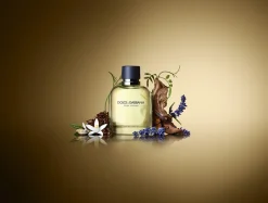 DOLCE&GABBANA Düfte·Eau De Toilette Spray|