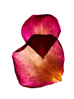 Dr. Hauschka Reinigung·Badezusatz|