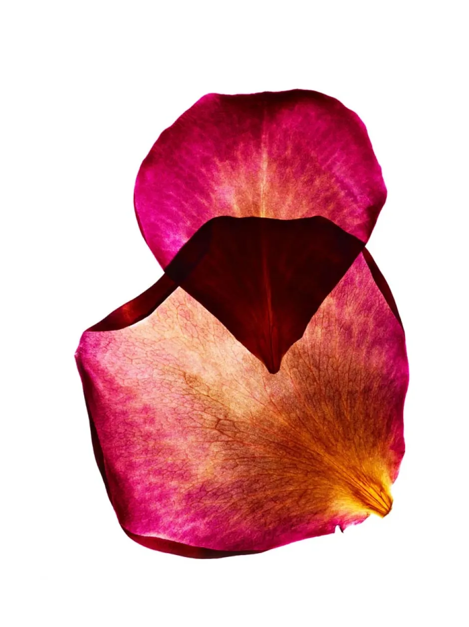 Dr. Hauschka Reinigung·Badezusatz|