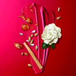 Cacharel Düfte·Eau De Parfum Spray|Eau de Parfum Nat. Spray