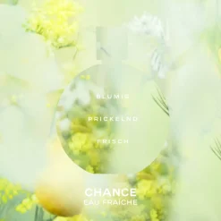 CHANEL Düfte·Eau De Toilette Spray|EAU DE TOILETTE ZERSTÄUBER