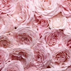 Escada Düfte·Eau De Parfum Spray|