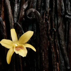 Escada Düfte·Eau De Parfum Spray|