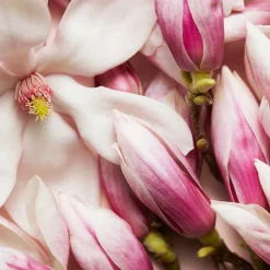 Escada Düfte·Eau De Parfum Spray|