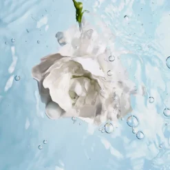 CHANEL Serum & Kur ·Serum|FEUCHTIGKEITSSPENDEND AUSGLEICHEND AUFPOLSTERND