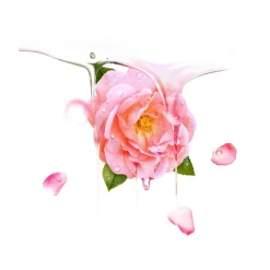 Foreo Maske·Wirkstoff- & Feuchtigkeitsmaske|