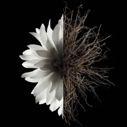 Givenchy Pflege·Body Lotion|