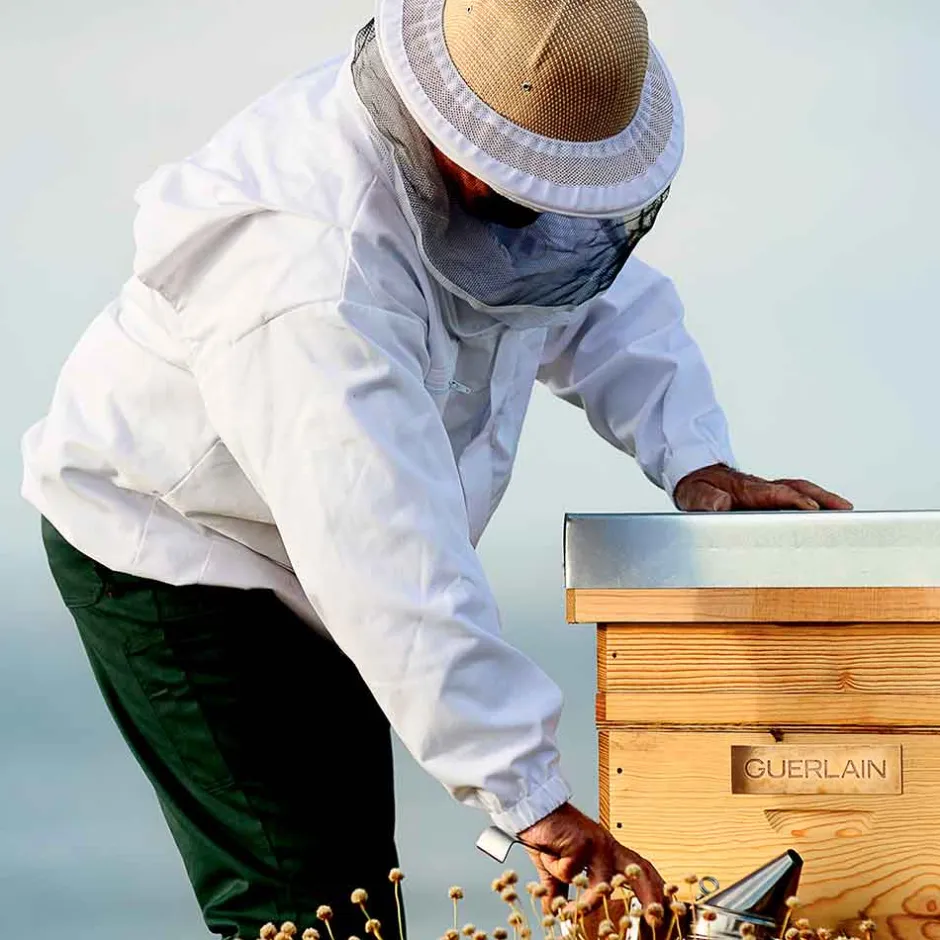 Guerlain Serum & Kur ·Serum|