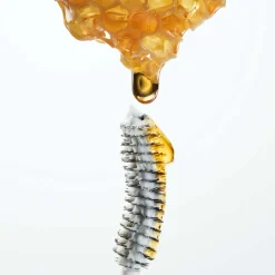 Guerlain Mascara·Mascara Primer|