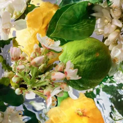 Guerlain Düfte·Eau De Toilette Spray|