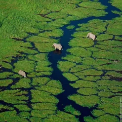 Guerlain Düfte·Eau De Toilette Spray|