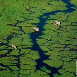 Guerlain Düfte·Eau De Toilette Spray|