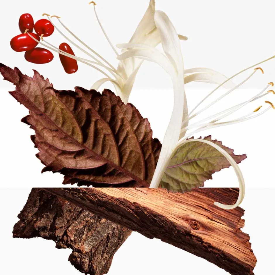 HERMÈS Körperpflege·Body Cream|