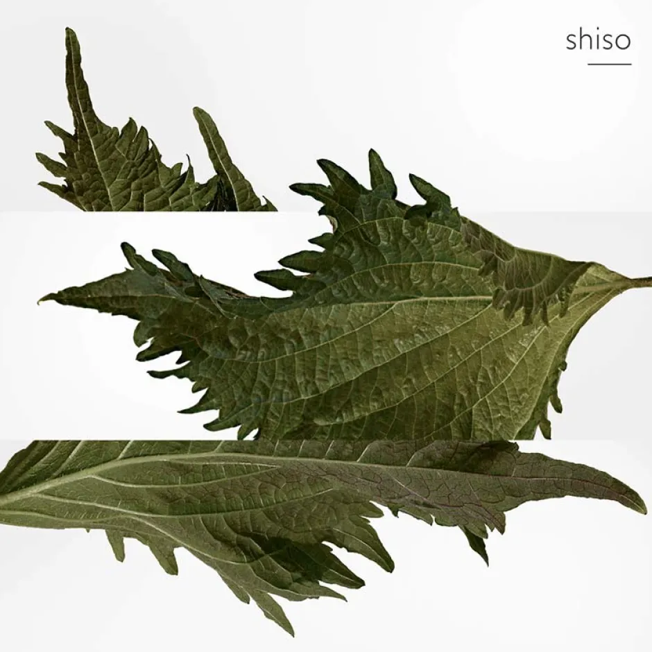 HERMÈS Düfte·Parfum Spray|