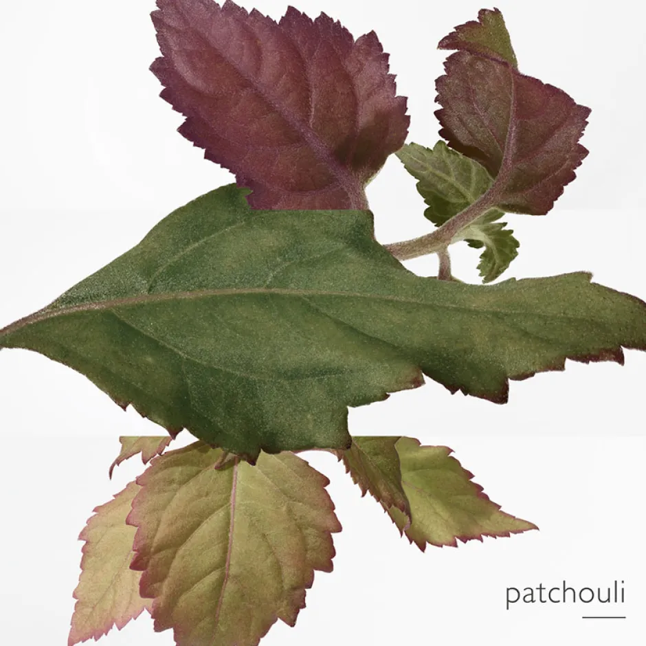 HERMÈS Düfte·Eau De Parfum Spray|