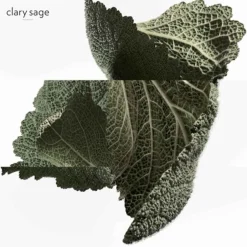 HERMÈS Düfte·Eau De Parfum Spray|