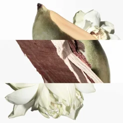 HERMÈS Düfte·Haarparfum|