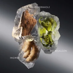 Issey Miyake Düfte·Eau De Toilette Spray|