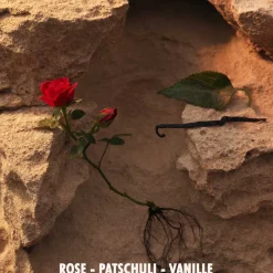 Jil Sander Düfte·Eau De Parfum Spray|