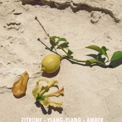 Jil Sander Düfte·Eau De Toilette Spray|