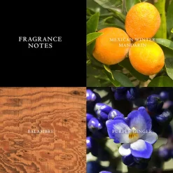 John Varvatos Düfte·Eau De Toilette Spray|