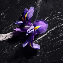 Joop! Düfte·Parfum|