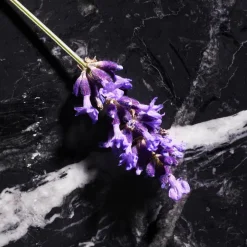 Joop! Düfte·Parfum|