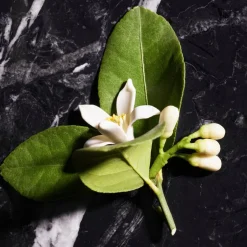 Joop! Düfte·Eau De Toilette Spray|