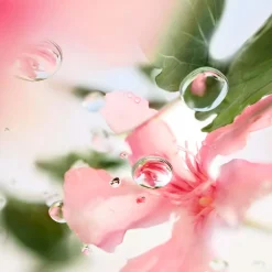 Lancôme Düfte·Eau De Toilette Spray|