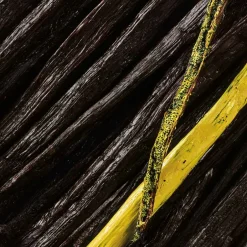 Maison Crivelli Düfte|