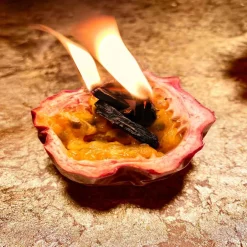 Maison Crivelli Düfte|