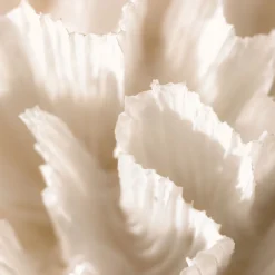 Maison Crivelli Düfte|