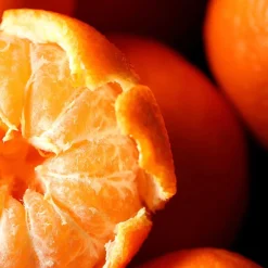 Maison Crivelli Düfte|