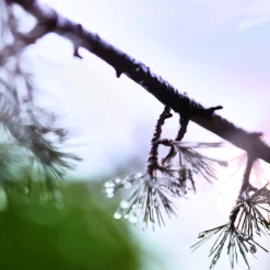 Maison Margiela Düfte·Eau De Toilette Spray|